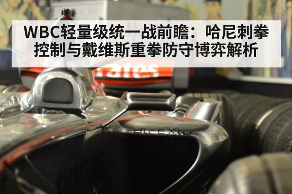 WBC轻量级统一战前瞻：哈尼刺拳控制与戴维斯重拳防守博弈解析