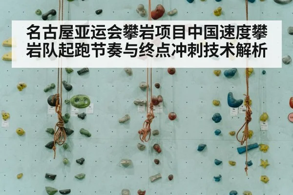 名古屋亚运会攀岩项目中国速度攀岩队起跑节奏与终点冲刺技术解析